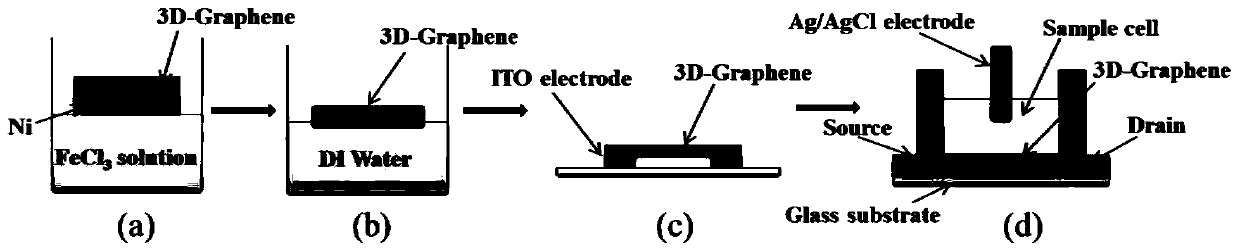 Method for detecting cancer marker MicroRNA based on three-dimensional graphene biosensor