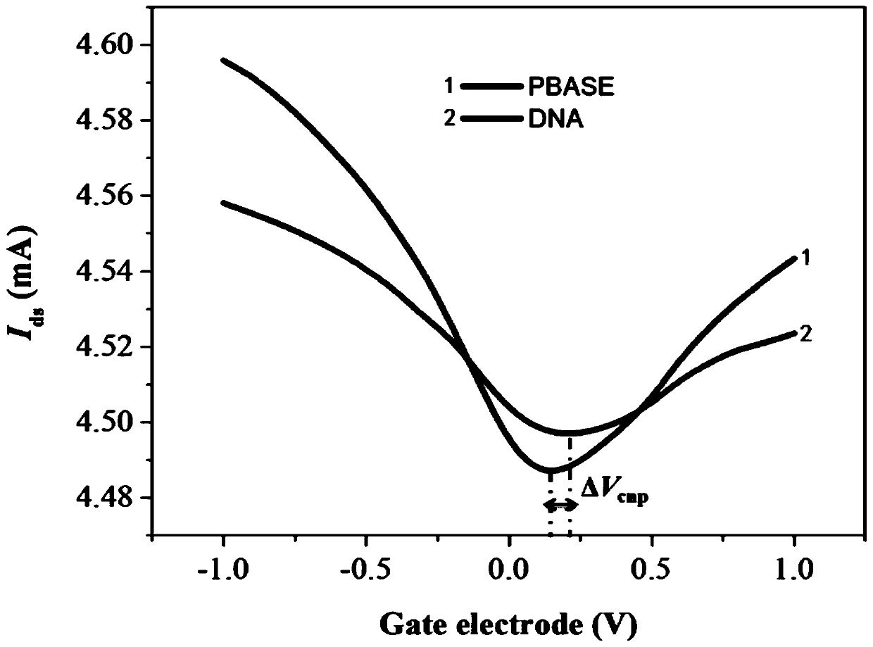 Method for detecting cancer marker MicroRNA based on three-dimensional graphene biosensor