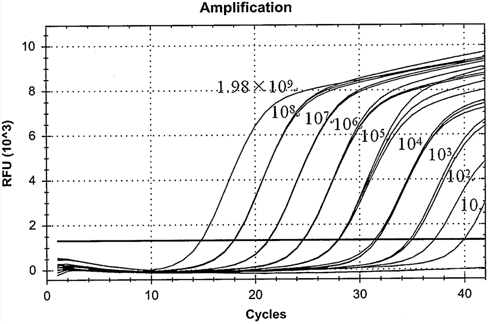 Method and kit for detecting VBNC vibrio parahemolyticus