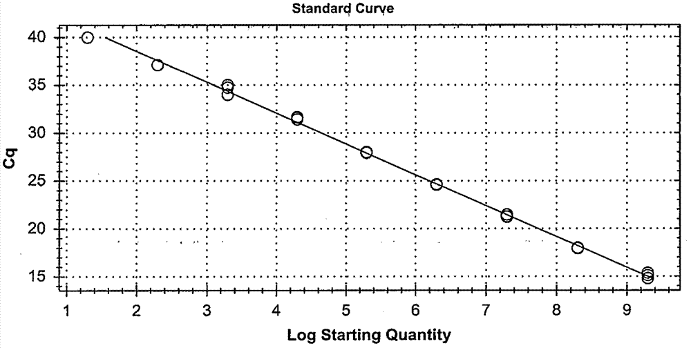 Method and kit for detecting VBNC vibrio parahemolyticus