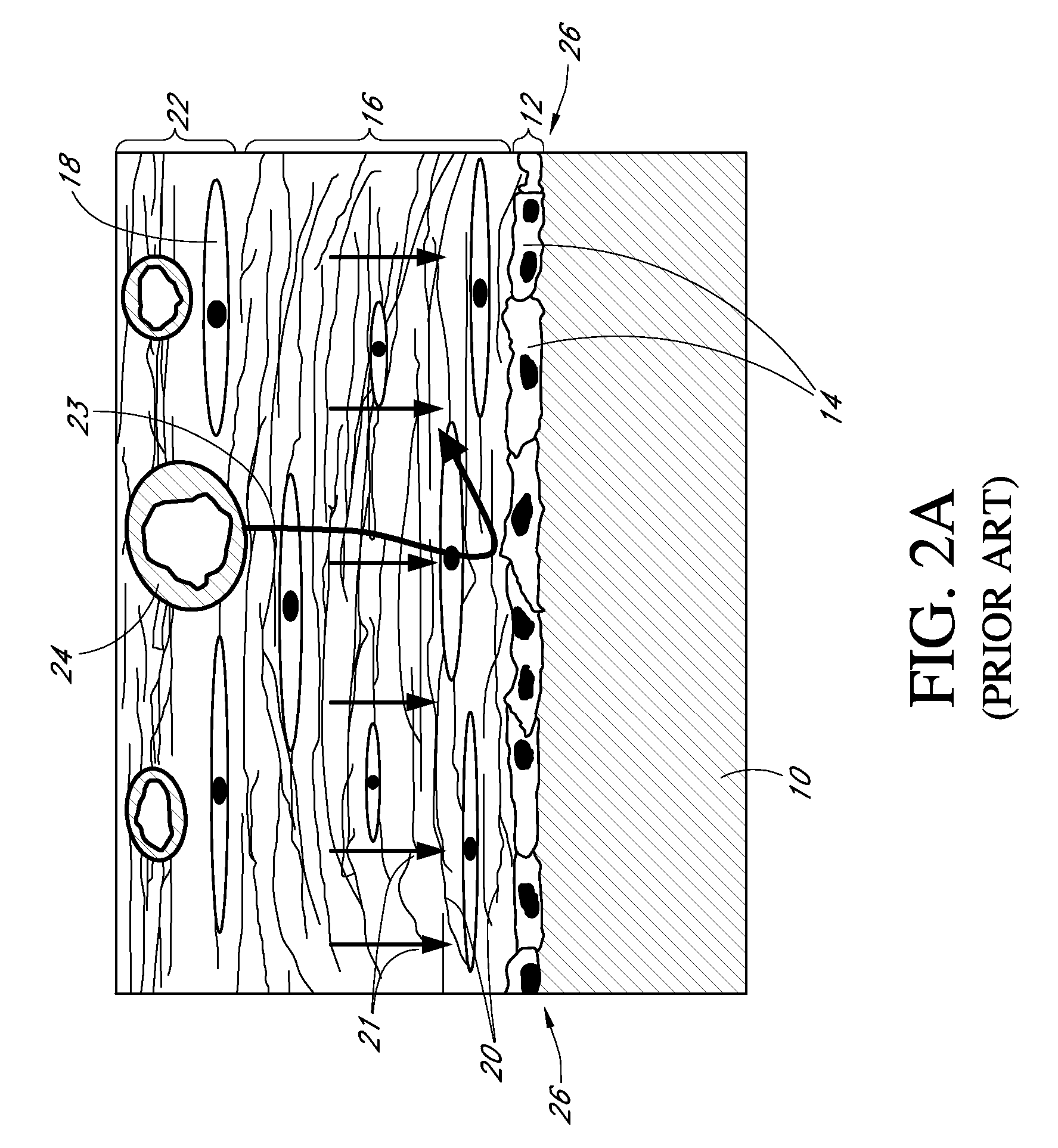 Analyte sensor