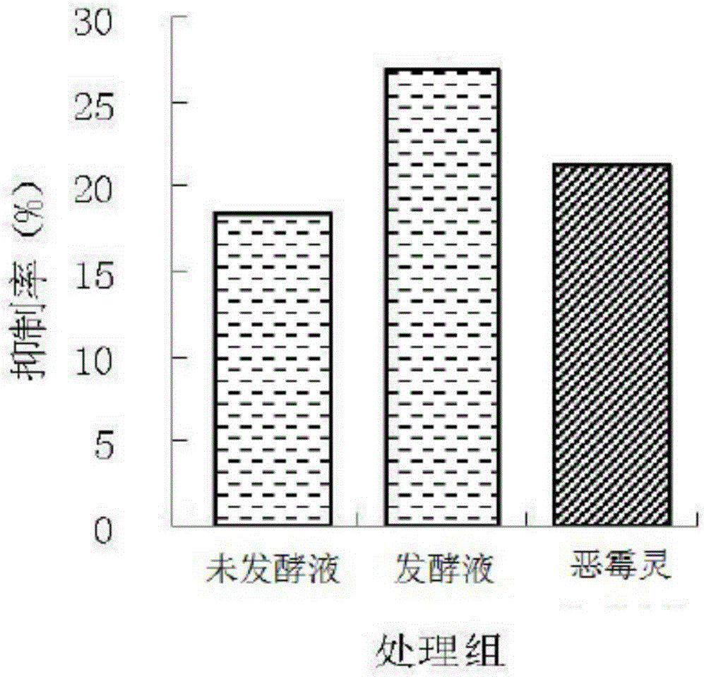 Eurotium cristatum LS1 strain