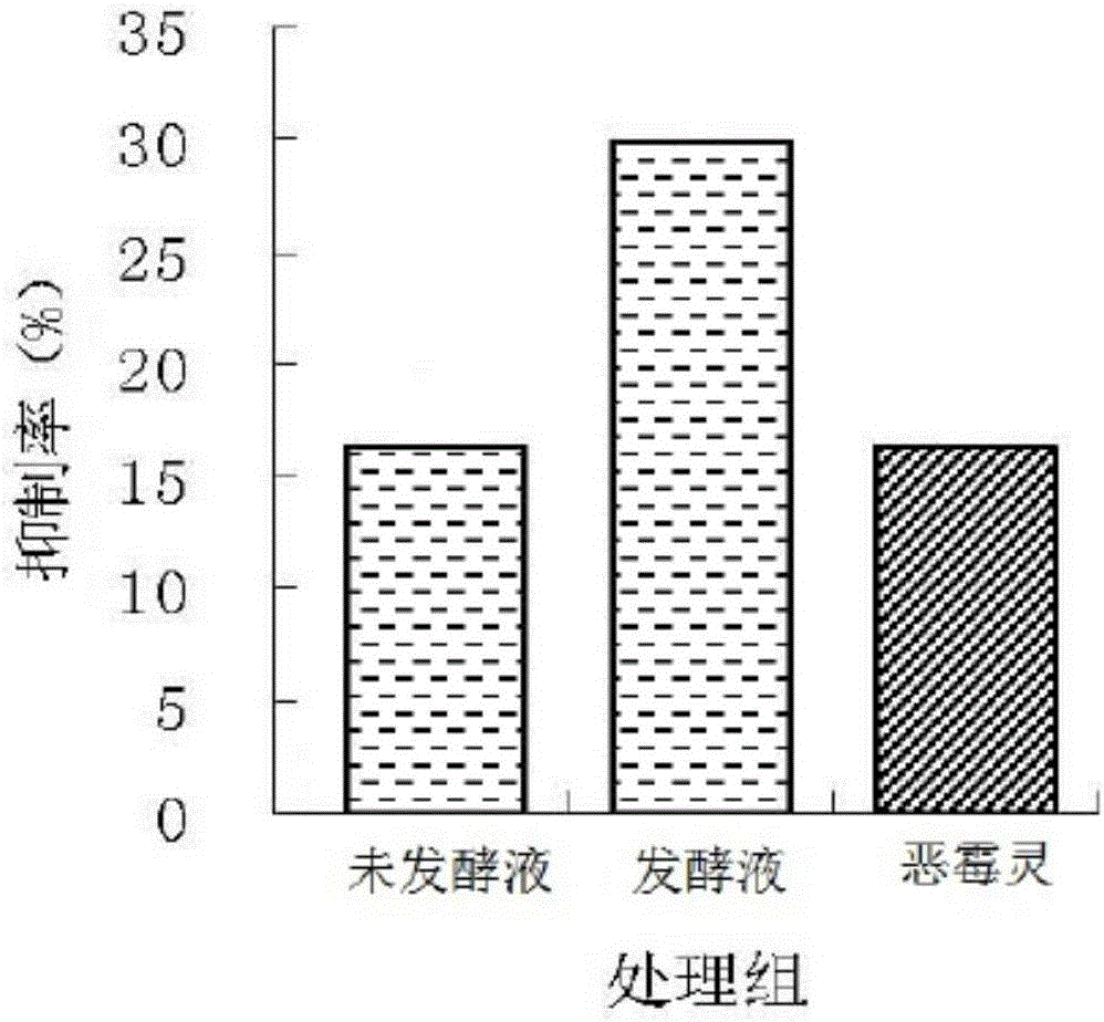 Eurotium cristatum LS1 strain