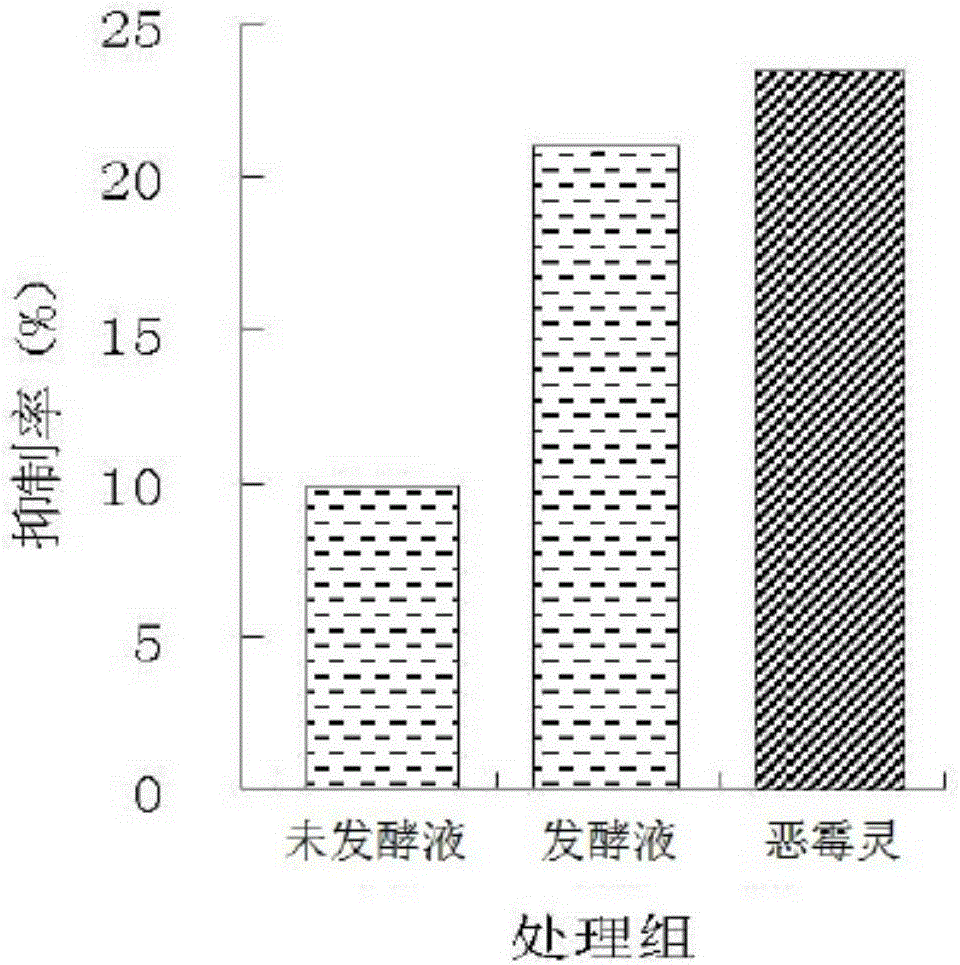 Eurotium cristatum LS1 strain