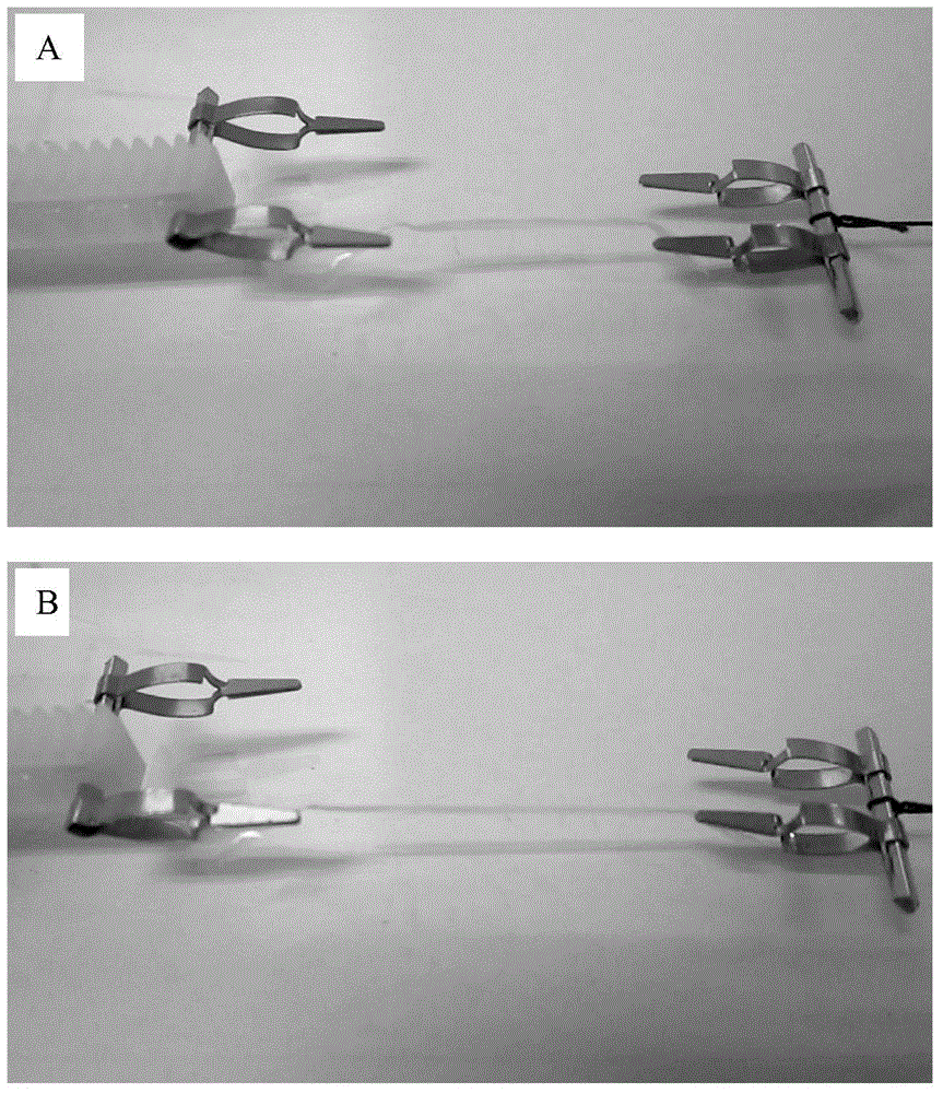 Preparation method of bionic artificial nerve scaffold established by collagen