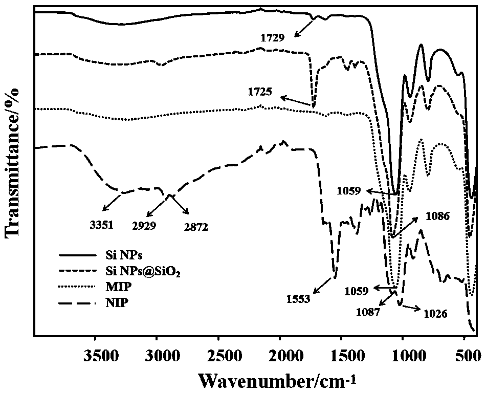 Preparation method of fluorescent double-template antigenic-determinant imprinted polymer based on silicon nanoparticles