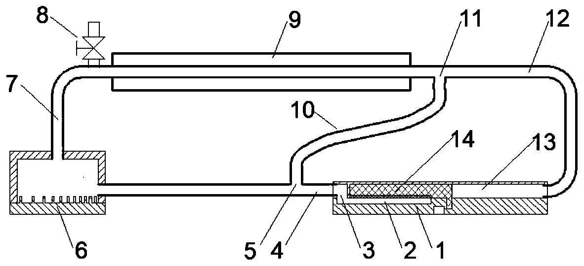 A Microstructured Liquid Self-Driven Flat Loop Heat Pipe with Branches