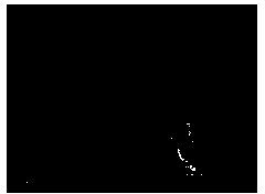 Stannic oxide nanotubes with high electrical properties and preparation method therefor