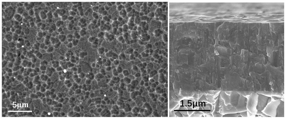 High-toughness TiAlNiN coating and preparation method and application thereof