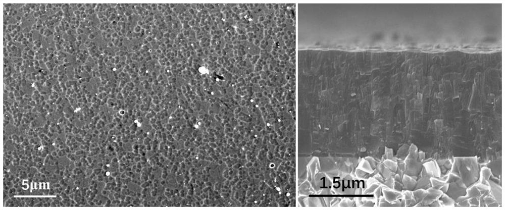 High-toughness TiAlNiN coating and preparation method and application thereof