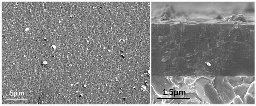 High-toughness TiAlNiN coating and preparation method and application thereof