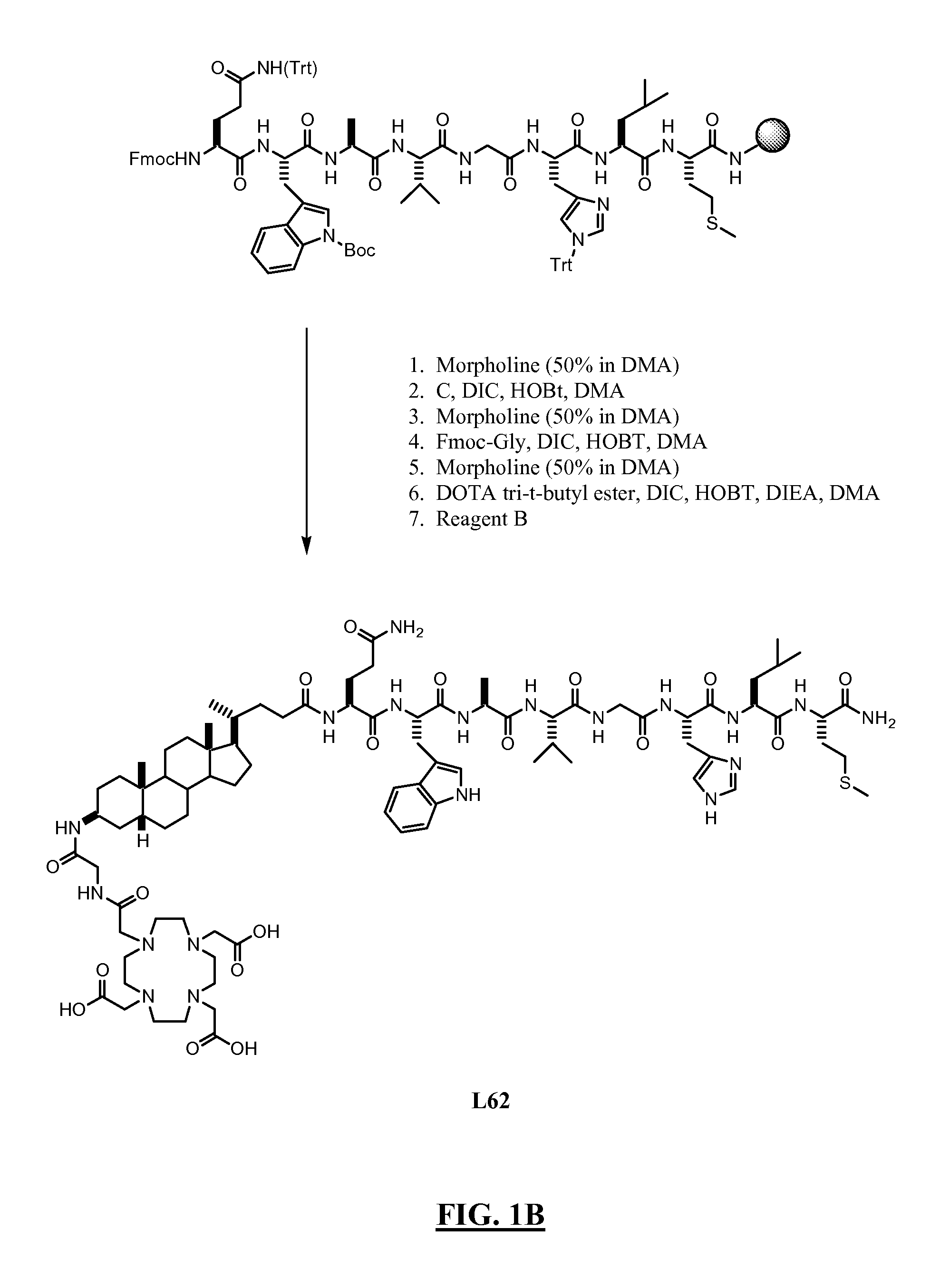 Gastrin releasing peptide compounds