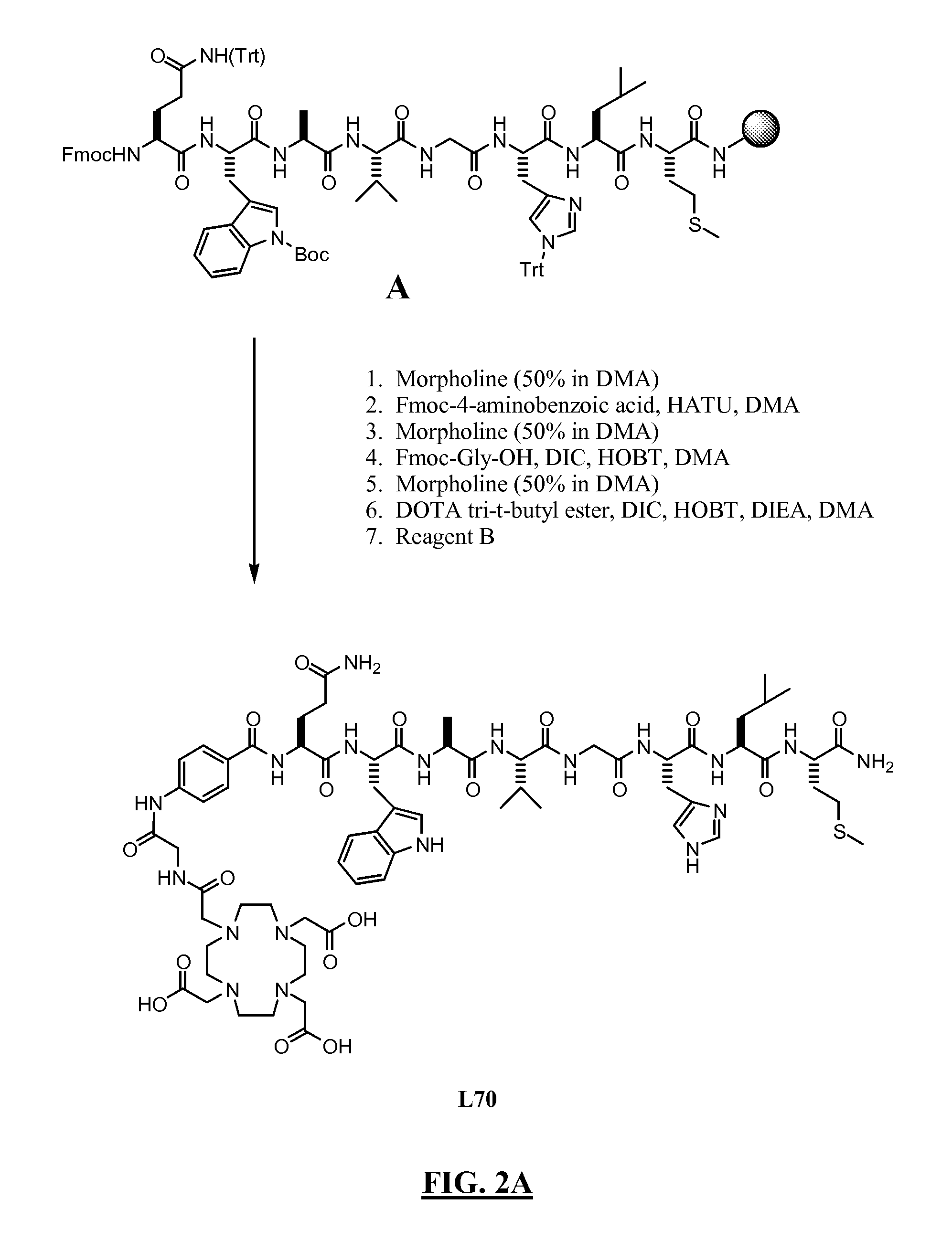 Gastrin releasing peptide compounds