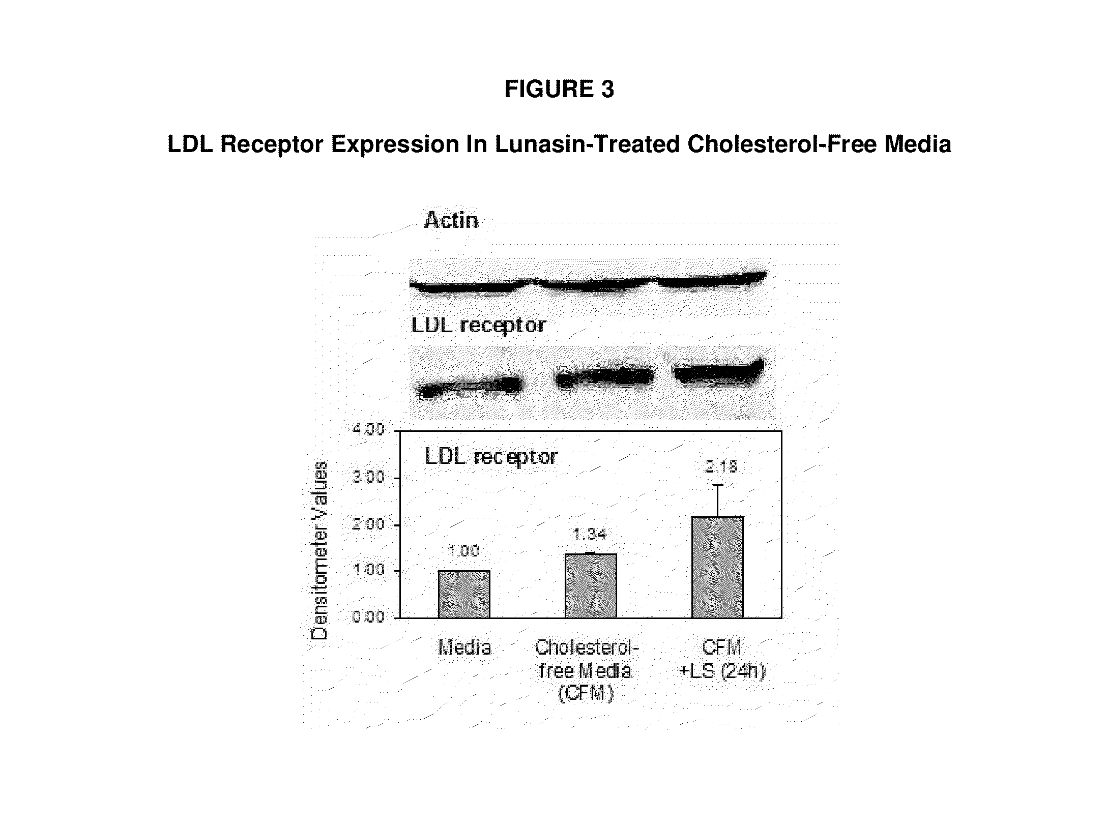 Products and methods using soy peptides to lower total and ldl cholesterol levels