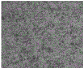 Ultrasonic vibration aided stir friction welding process and device