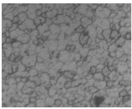 Ultrasonic vibration aided stir friction welding process and device