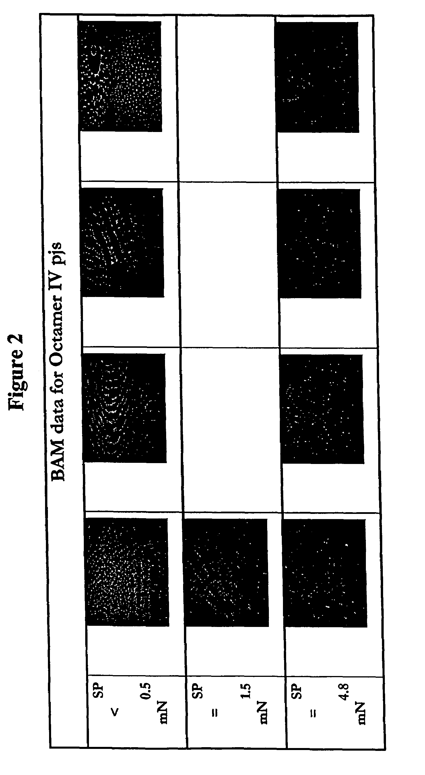 Bridged macrocyclic module compositions