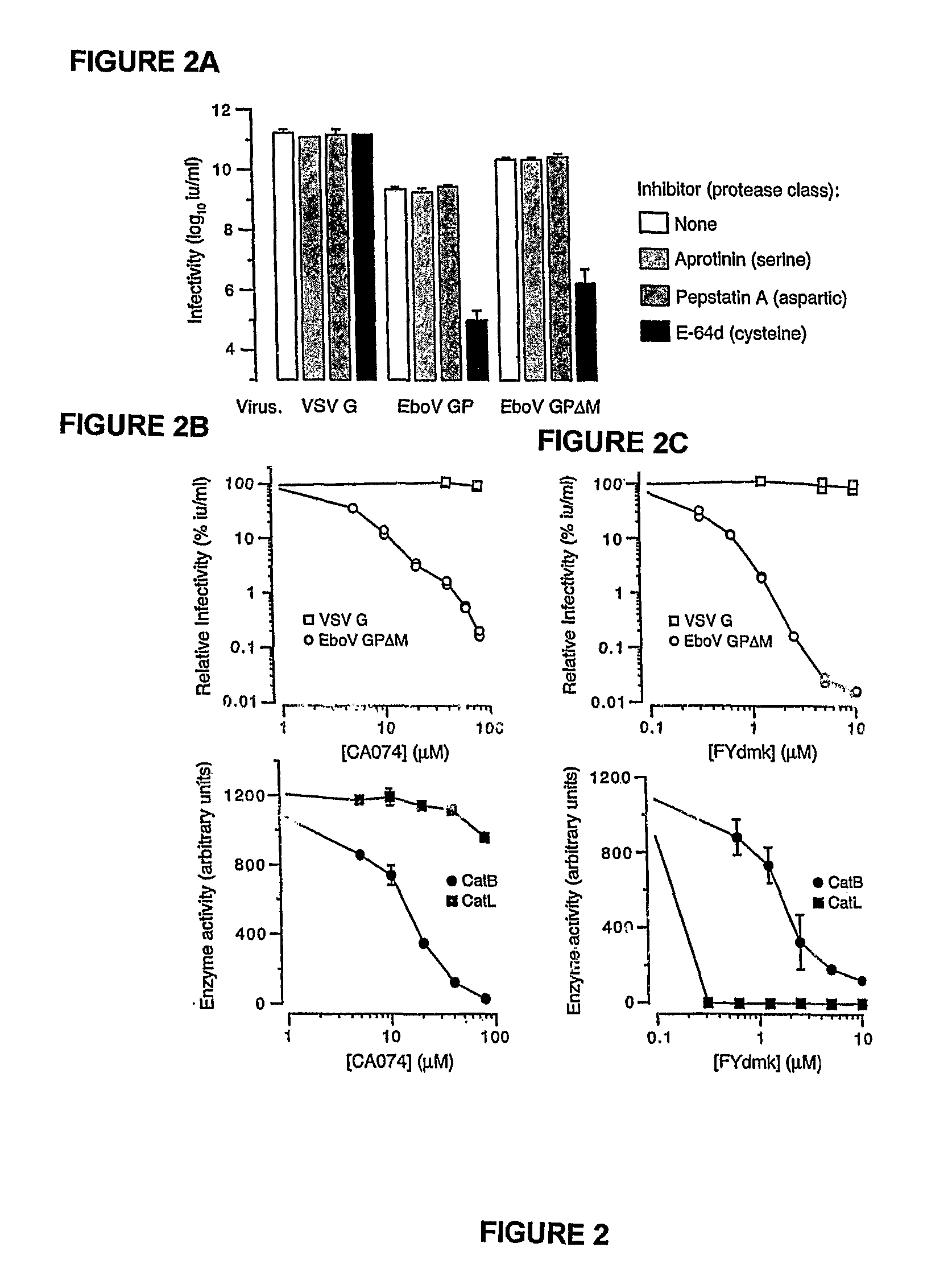 Inhibitors of enveloped virus infectivity