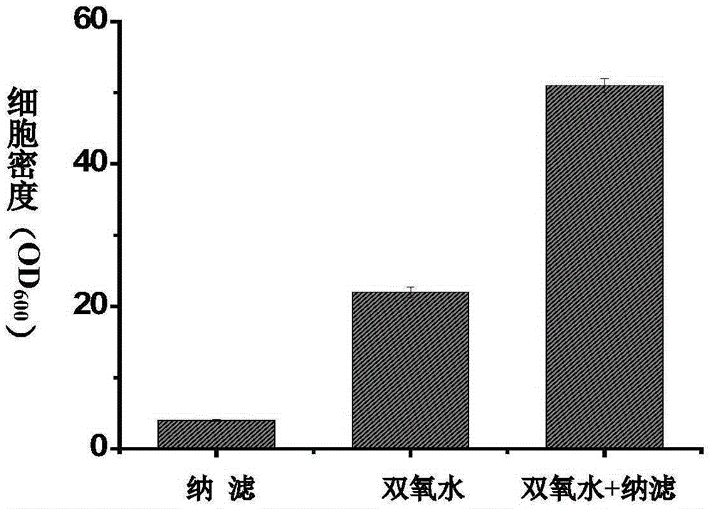 Preparation process of pulping prehydrolysis liquid based on advanced oxidation-nanofiltration technology