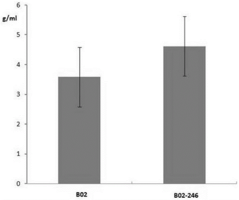 High-activity aminoacetylase clavulanate streptomyces clavuligerus strain and use thereof