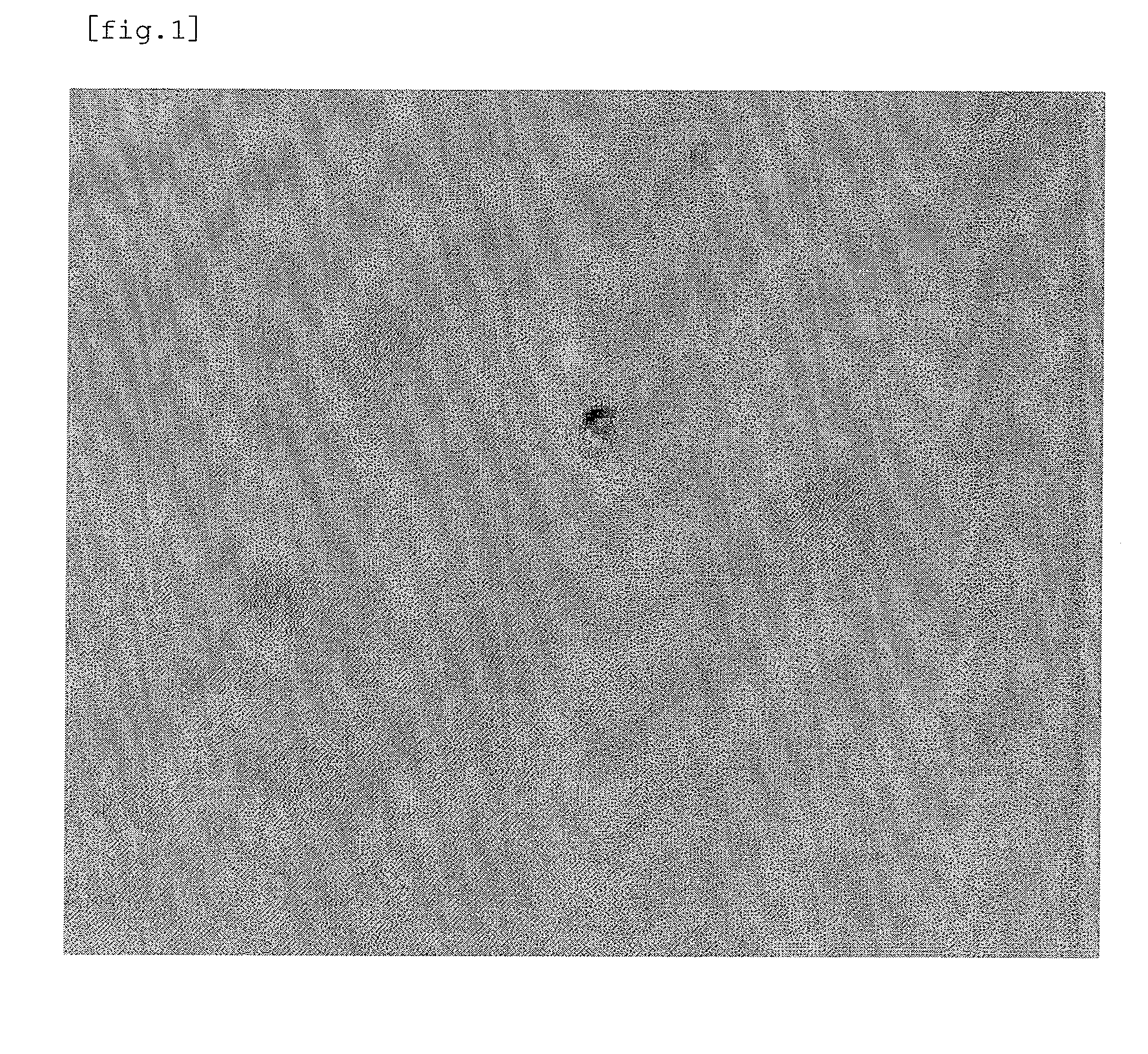 Pharmaceutical composition for external use