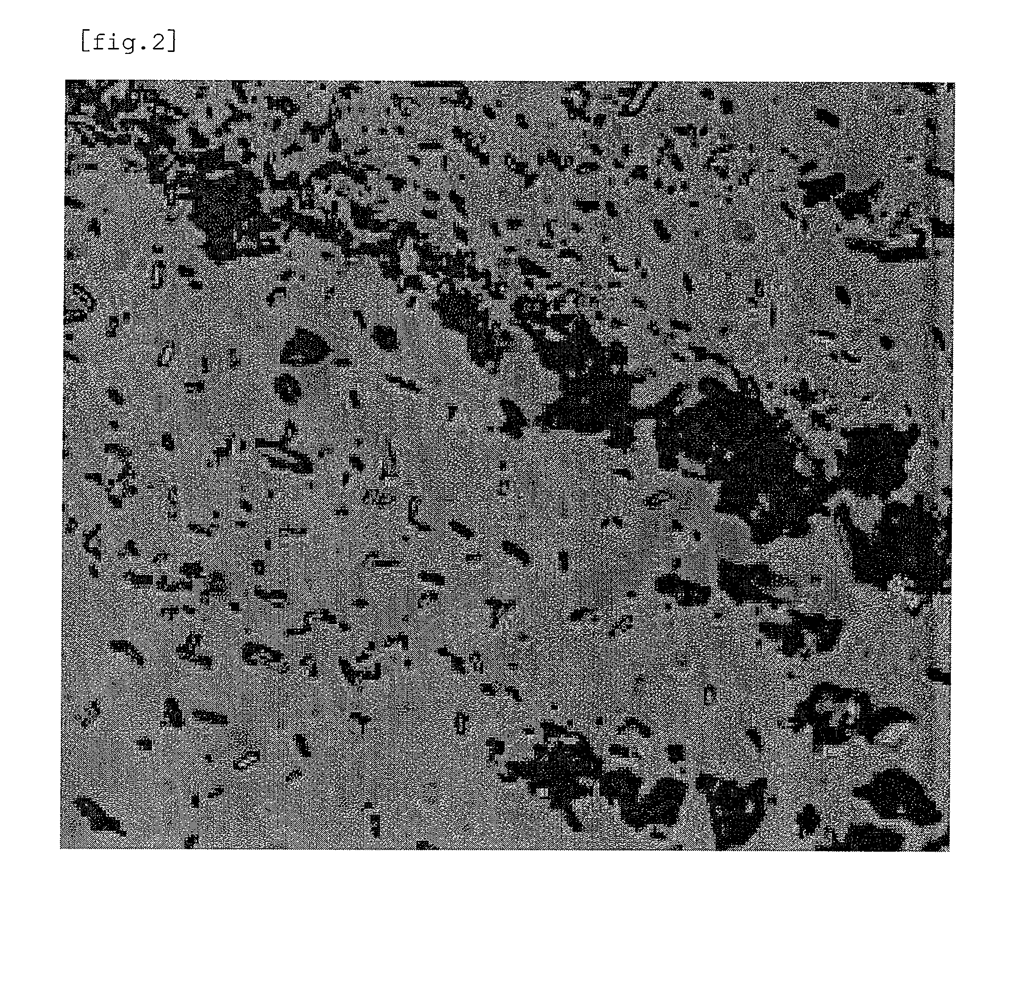 Pharmaceutical composition for external use