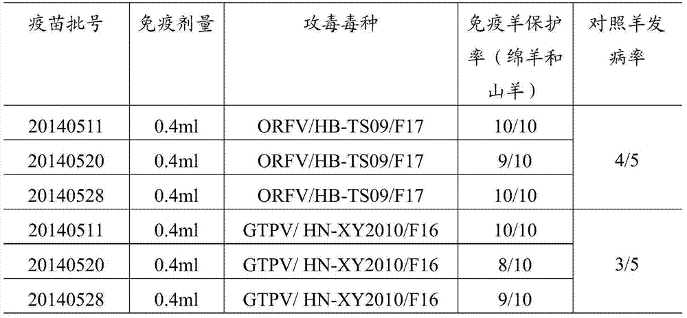 Goatpox virus-orf virus combined cell attenuated vaccine and its preparation method and use