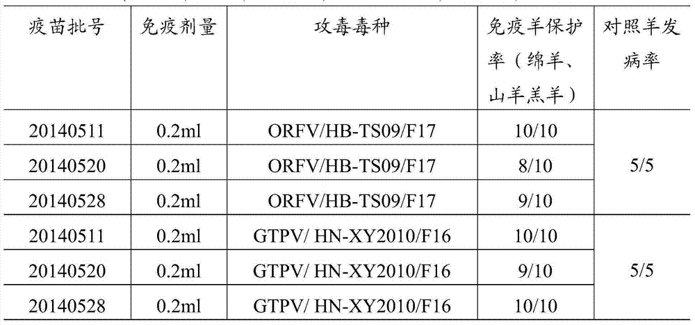 Goatpox virus-orf virus combined cell attenuated vaccine and its preparation method and use
