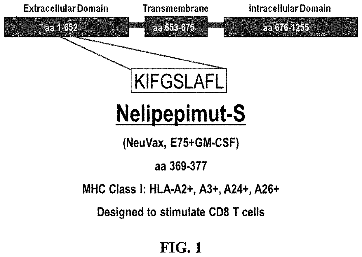 Combination immunotherapy for treatment of triple-negative breast cancer