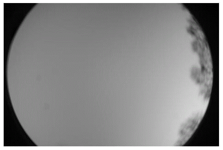 A Neutral Point Identification Method Based on Degree of Polarization Ellipse Fitting