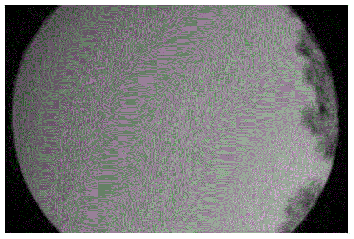 A Neutral Point Identification Method Based on Degree of Polarization Ellipse Fitting