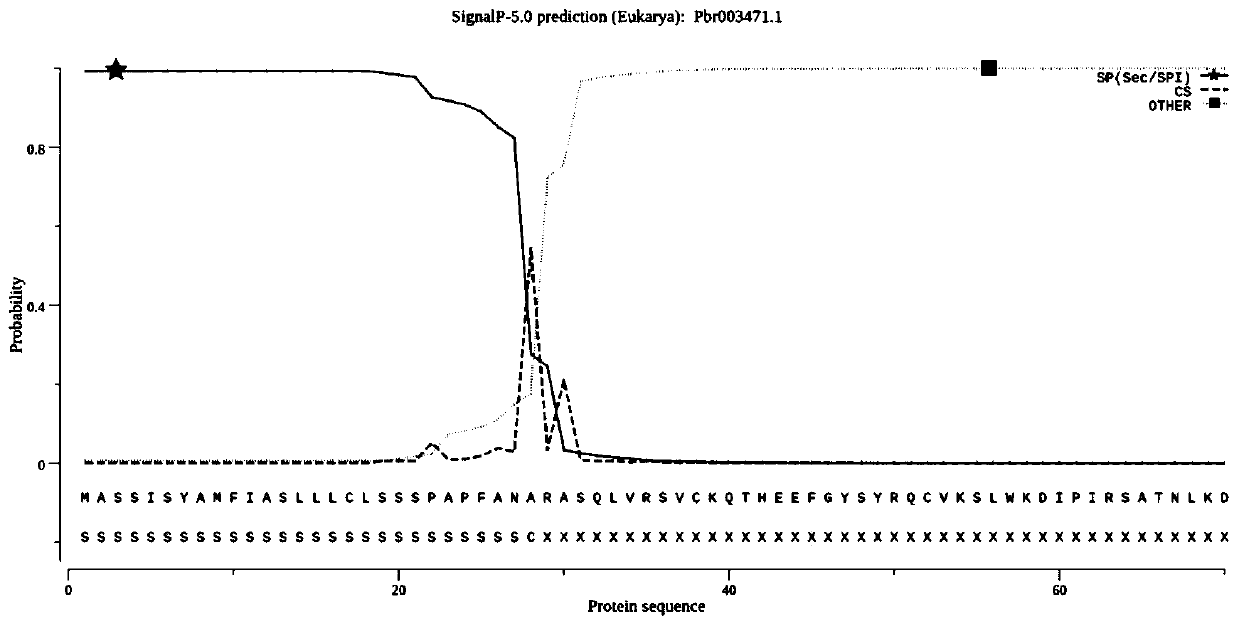 In-vitro expression method for pear PMEI (pectin mthylesterase inhibitor) protein, and application of pear PMEI