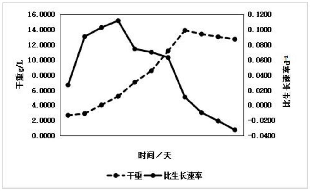 A method for promoting the growth of Luo Han Guo suspended cells and increasing the content of glucoside v by salt stress