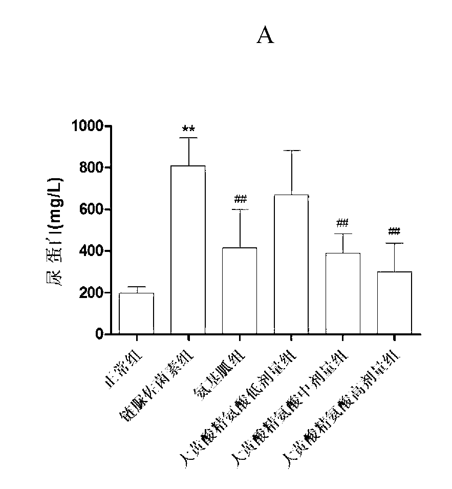 Application of rhein or rhein compound-arginine complex in preparation of medicines for treating diabetic vascular complications