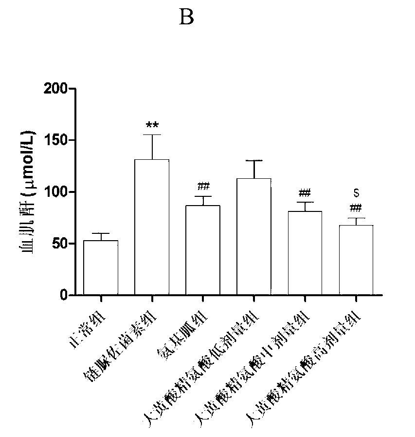 Application of rhein or rhein compound-arginine complex in preparation of medicines for treating diabetic vascular complications