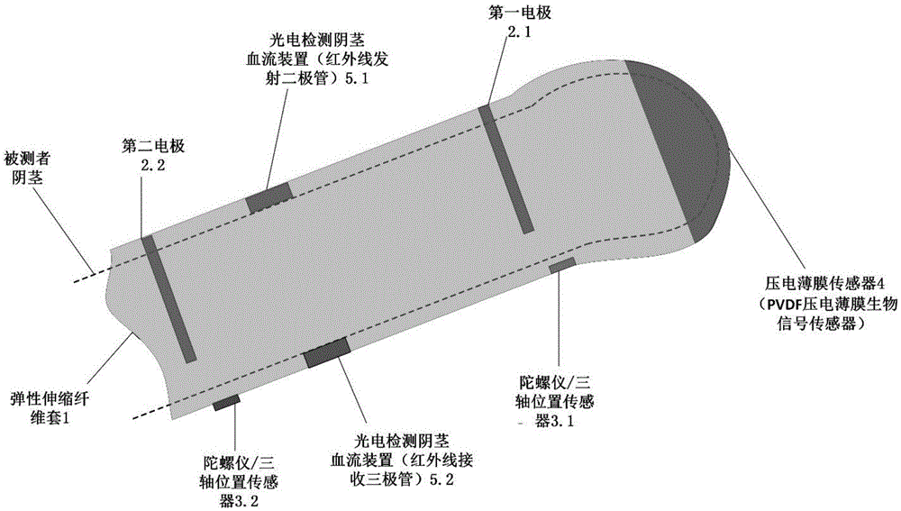 Multi-parameter acquiring and recording device for dynamically monitoring penile erection states