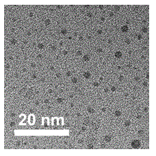 Water decomposition photocatalyst, preparation method and applications thereof