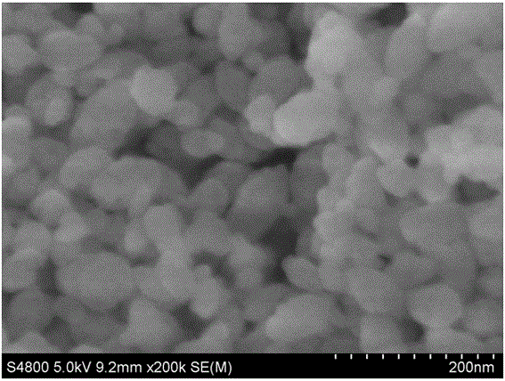 Large surface area porous ZrO2 mesoscopic crystal