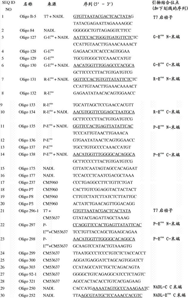 Bovine viral diarrhea-mucosal virus with modified erns protein