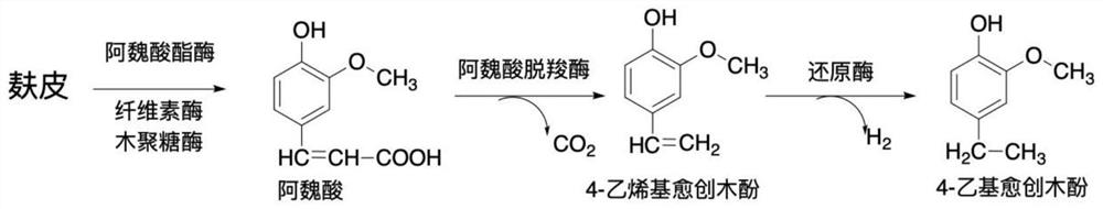 Bacillus amyloliquefaciens and application thereof in solid-state fermentation vinegar brewing