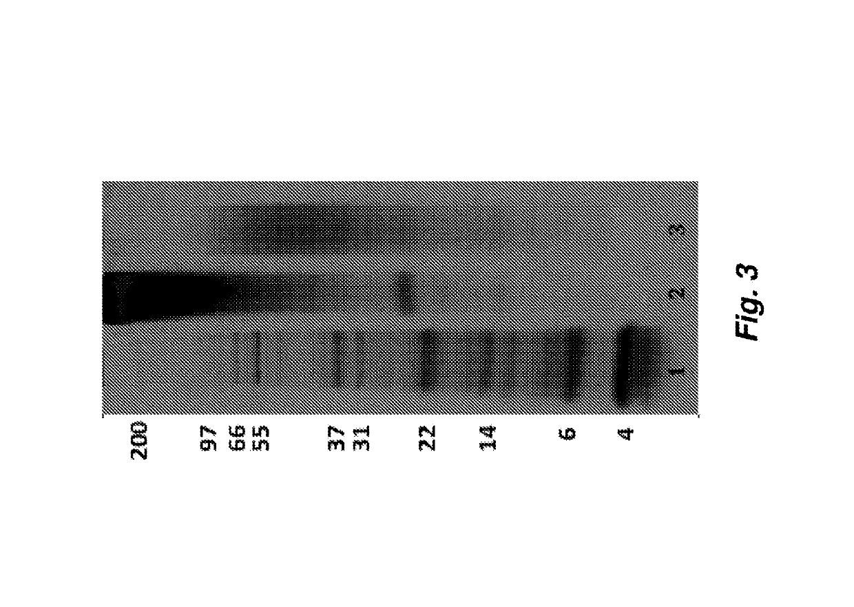 A method to enhance wound healing using silk-derived protein