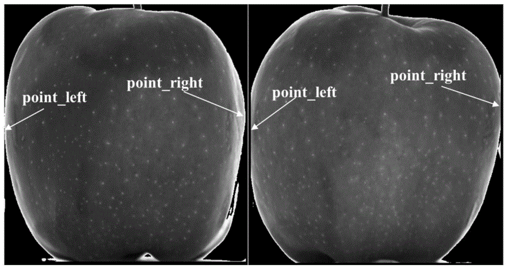 A Fast Matching Calculation Method for Fruit Images