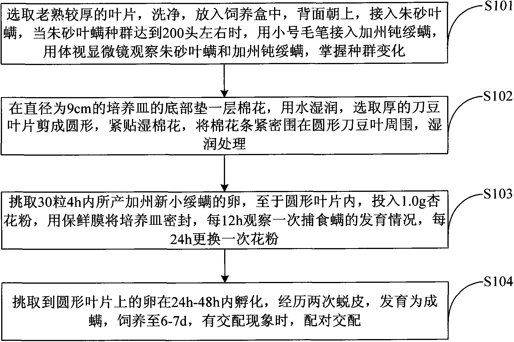 Method for breeding neoseiulus californicus through apricot blossom pollen