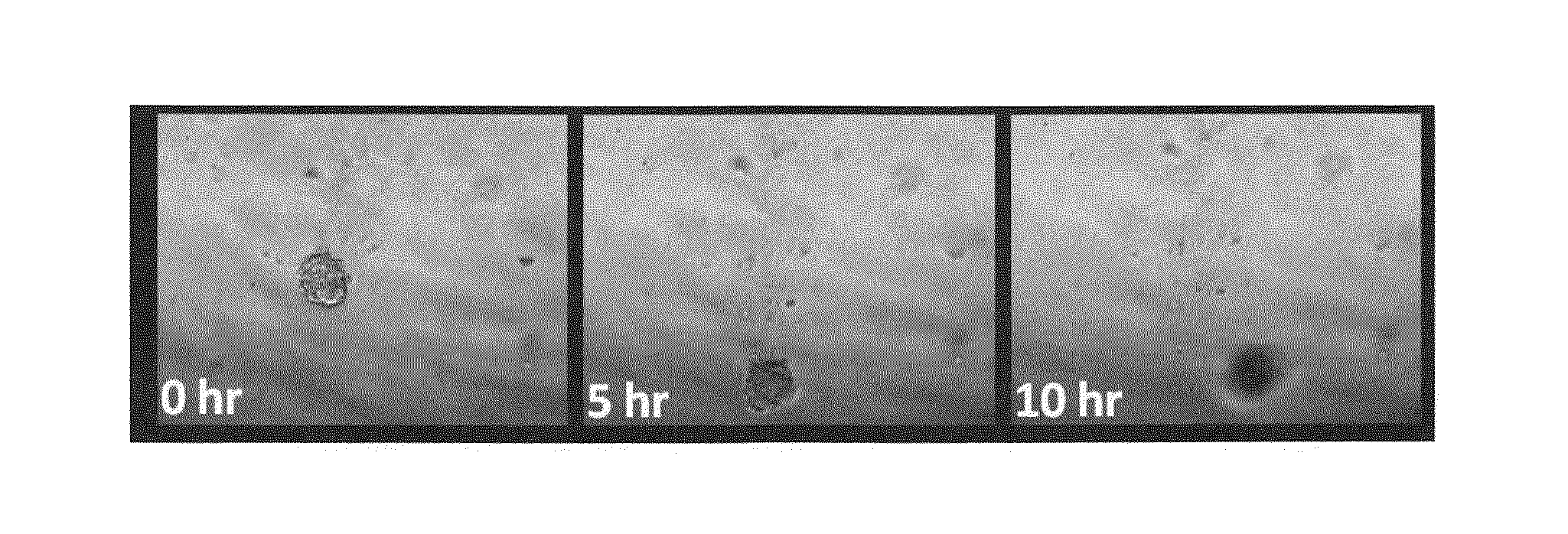 Biologically inspired algorithm based method for near real-time tracking of moving objects in three dimensional environment