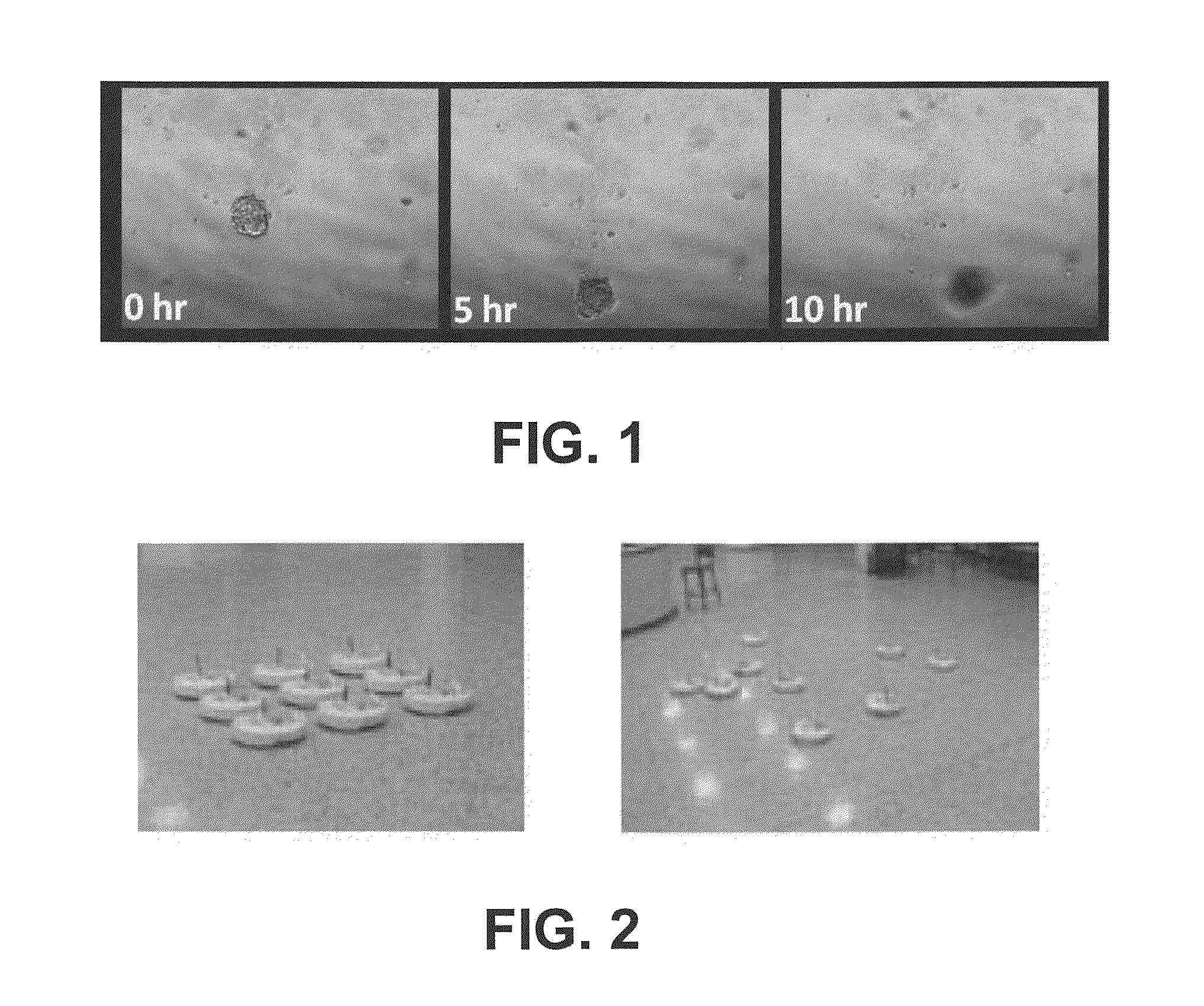 Biologically inspired algorithm based method for near real-time tracking of moving objects in three dimensional environment