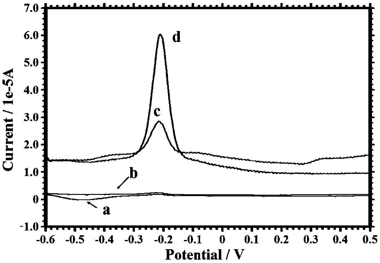 An electrochemical method for detecting parathion pesticide