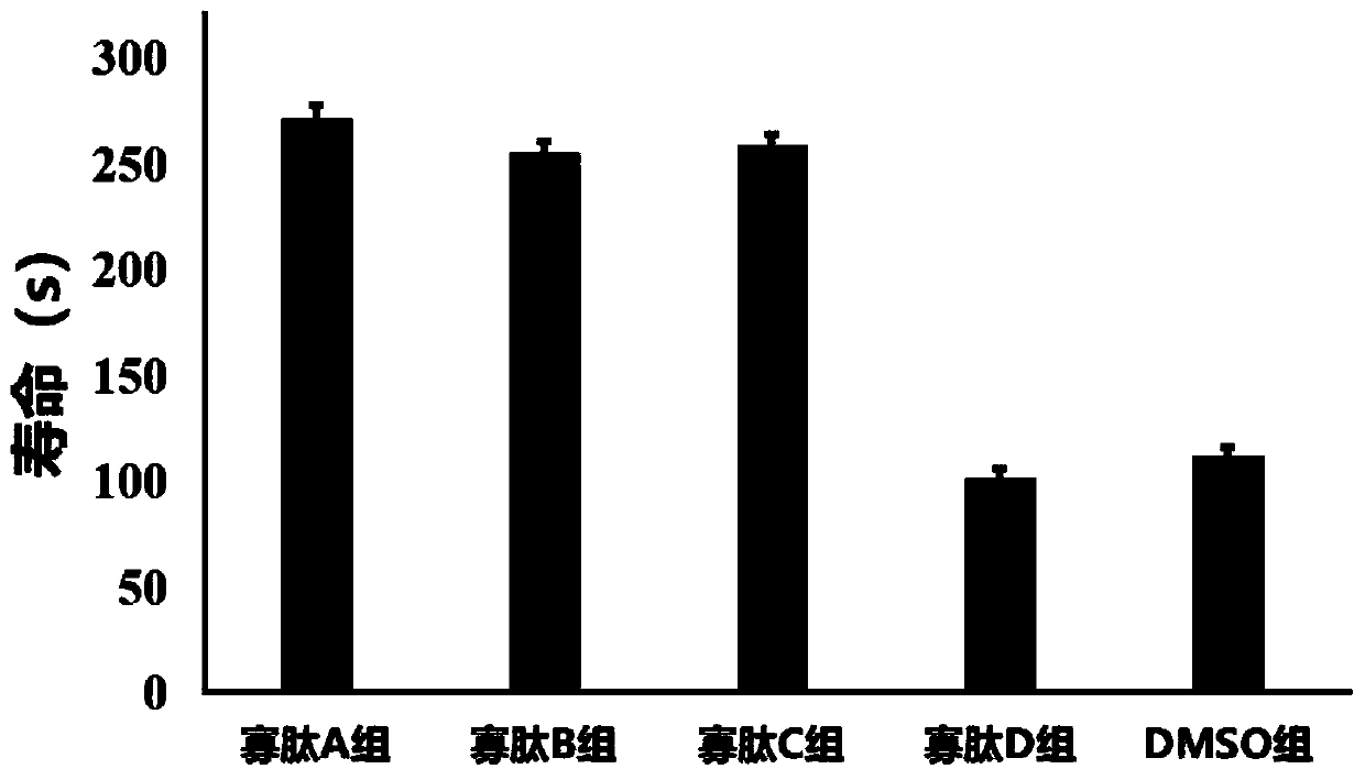 Oligopeptide and application in fishery field