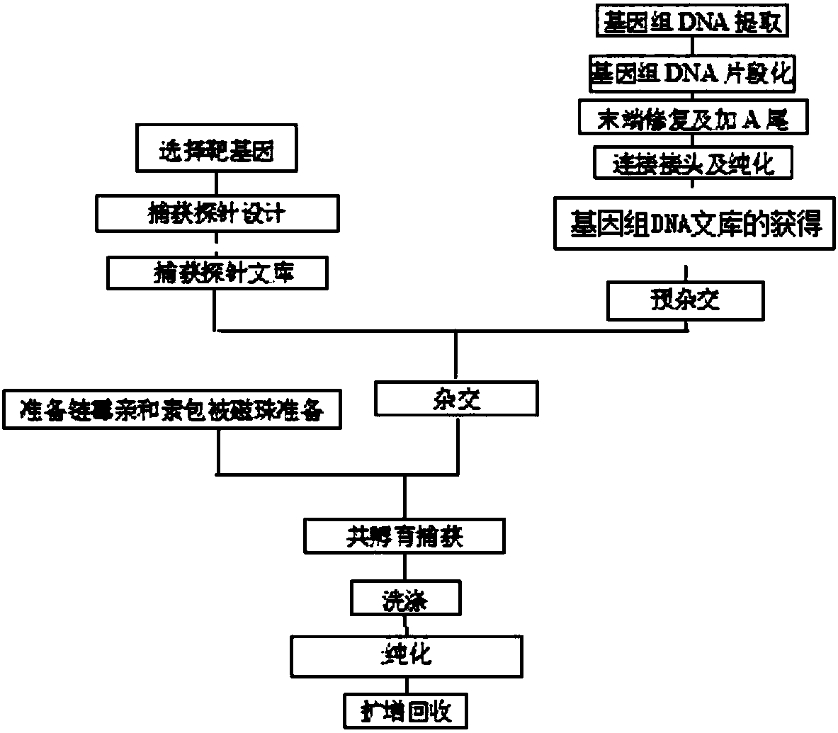 Method of capturing genomic target sequence for high-throughput sequencing