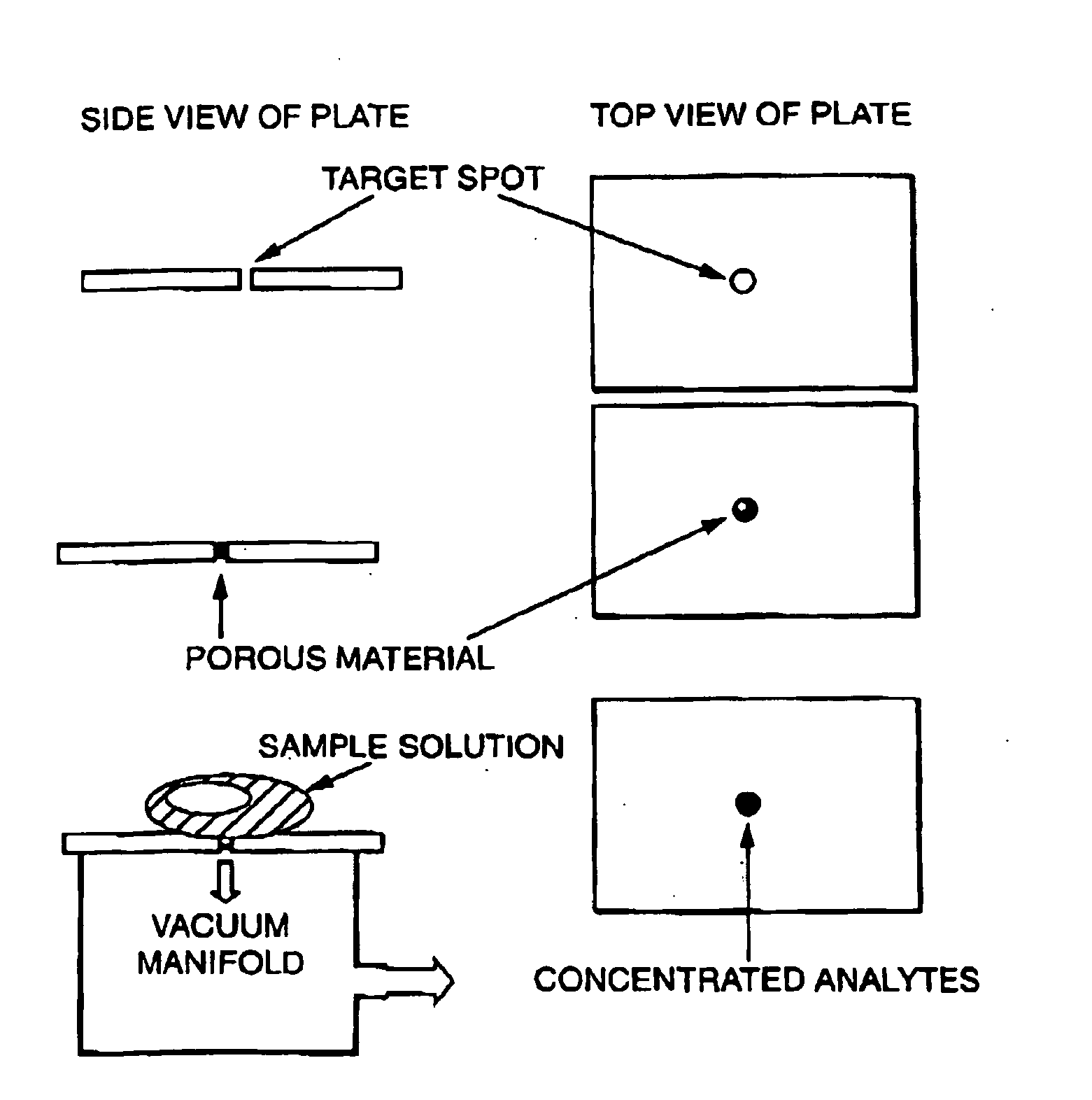 Sample concentration maldi plates for maldi mass spectrometry