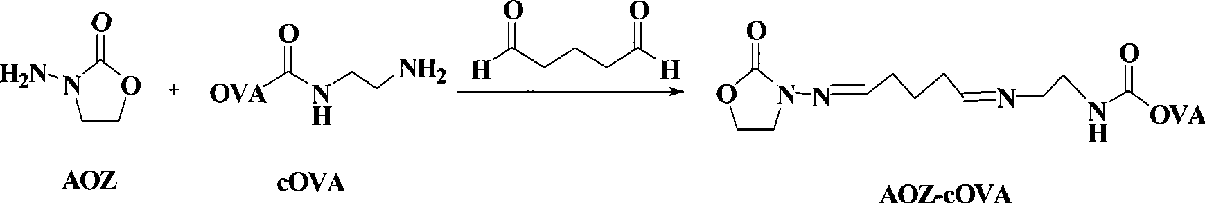 Chemical luminescence ELISA detection reagent kit for furazolidone